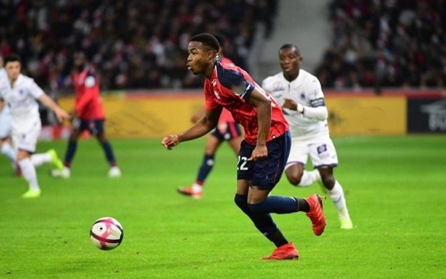 如果不及时 如果不及时