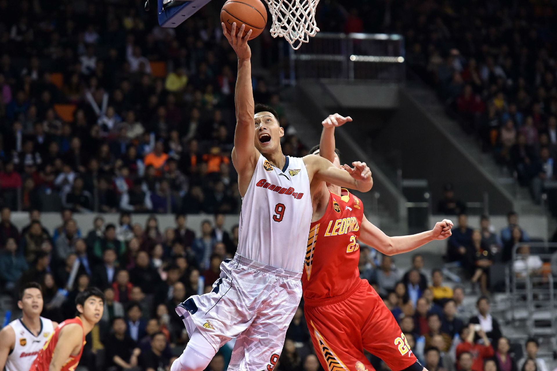 视野的宽度 视野的宽度